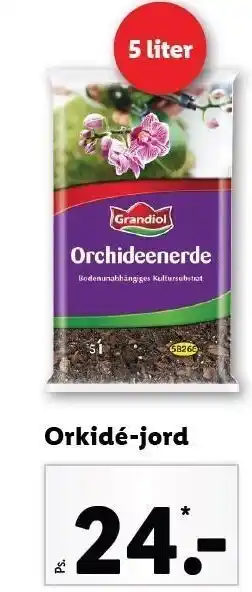 Orkidé-jord