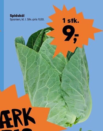 SuperBrugsen Spidskål tilbud
