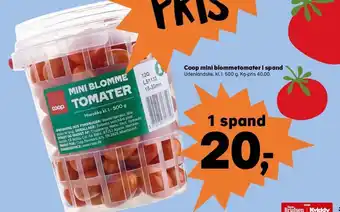 SuperBrugsen Coop Mini Blommetomater i spand tilbud