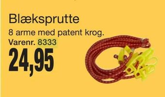 Blæksprutte