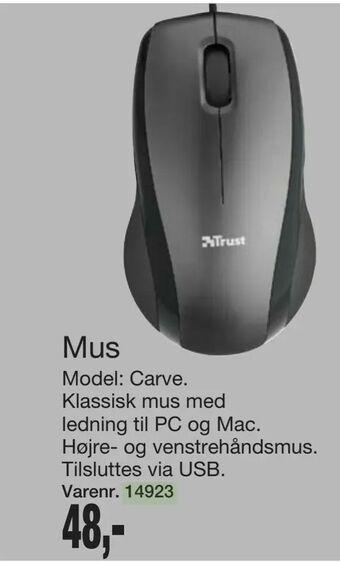 Mus