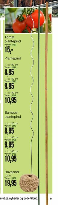 Bambus plantepind