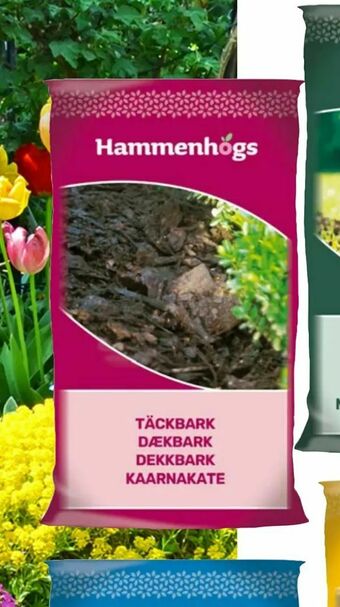 Harald Nyborg Dækbark tilbud