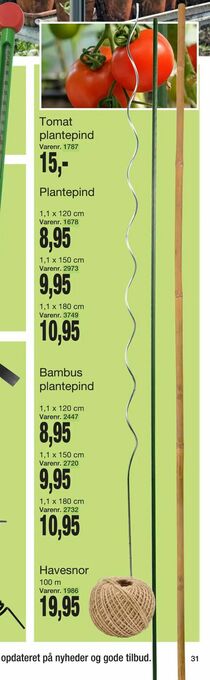 Tomat plantepind