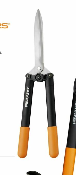 Harald Nyborg Hækkesaks tilbud