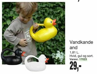 Harald Nyborg Vandkande and tilbud