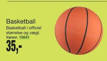 Harald Nyborg Basketball tilbud