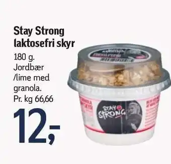 Føtex Laktosefri skyr tilbud