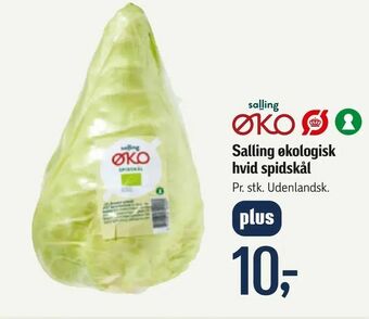 Føtex Salling økologisk hvid spidskål tilbud