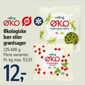 Føtex Økologiske bær eller grøntsager tilbud