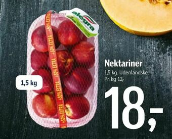 Nektariner
