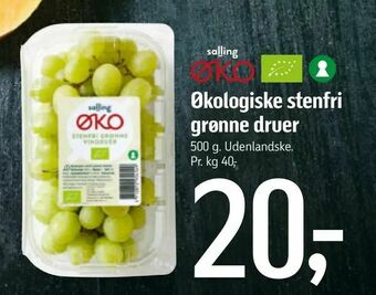 Føtex Økologiske stenfri grønne druer tilbud