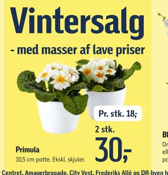 Føtex Primula tilbud