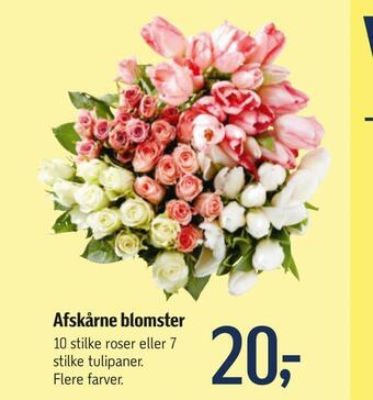 Føtex Afskårne blomster tilbud