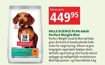 Maxi Zoo Hills science plan adult perfect weight mini tilbud
