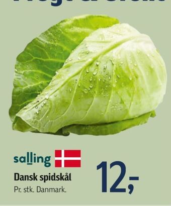 Føtex Salling spidskål tilbud
