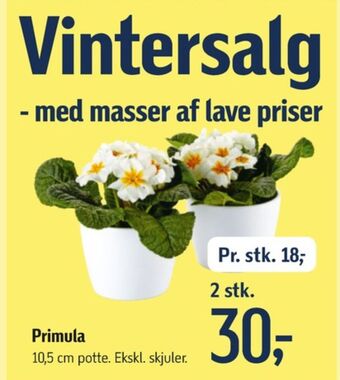 Føtex Ukendt planter tilbud