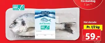 Lidl Havblå dorade tilbud