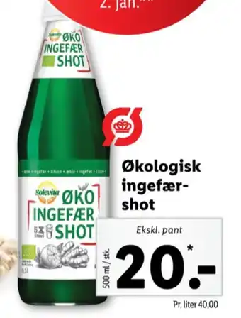 Lidl Solevita ingefærshot tilbud