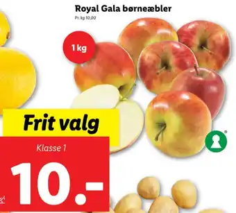 Lidl Ukendt æbler tilbud