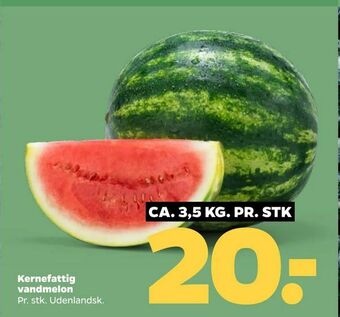 Netto Kernefattig vandmelon tilbud