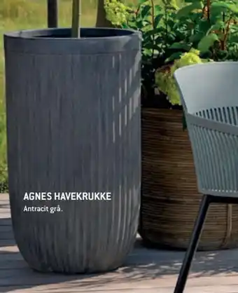 Agnes Haverkrukke