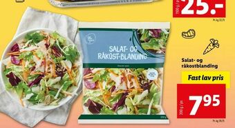 Salat- og råkostblanding