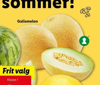 Galiamelon