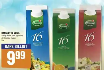 Løvbjerg Rynkeby 16 Juice 1L tilbud