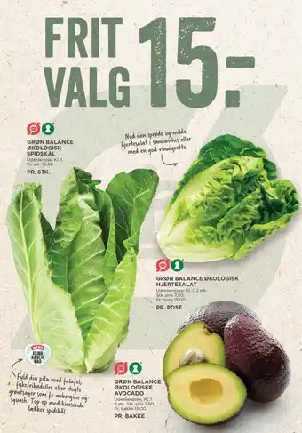 Grøn balance økologisk spidskål, hjertesalat, avocado