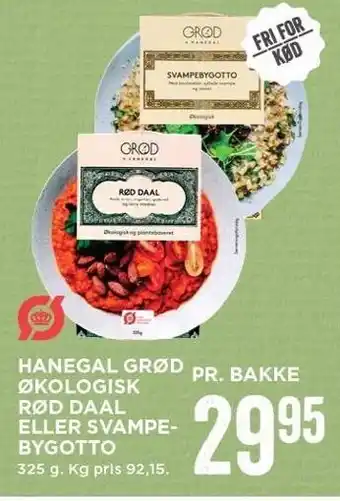 Hanegal grød økologisk rød daal el. svampebygotto