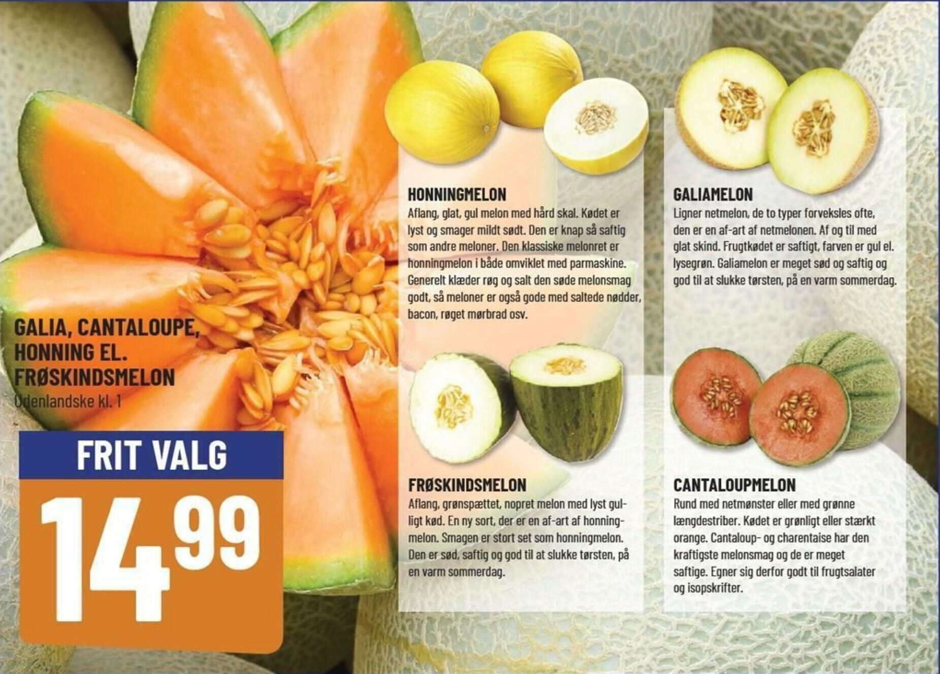 Galia,Cantaloupe, Honning El. Frøskindsmelon tilbud hos Løvbjerg