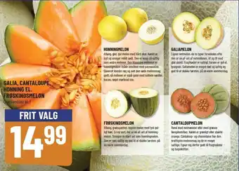 Galia,Cantaloupe, Honning El. Frøskindsmelon