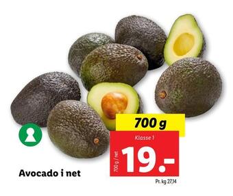 Lidl Avocado i net tilbud