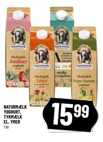 Naturmælk yoghurt jordbær