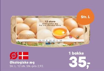 SuperBrugsen Dueholm æg tilbud