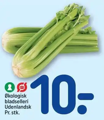 REMA 1000 Økologisk bladselleri tilbud