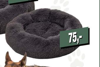 Hundeseng donut