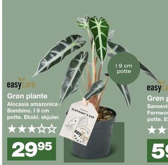 Bauhaus Grøn plante tilbud