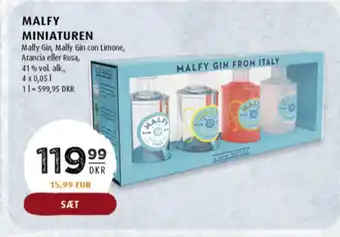 Scandinavian Park Malfy gin tilbud
