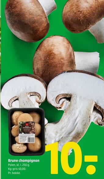 Brune champignon
