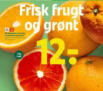 365 økologiske røde eller almindelige appelsiner*
