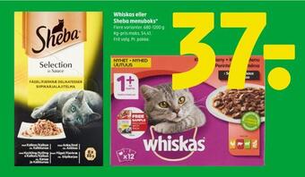 Coop 365 Whiskas eller sheba menuboks tilbud