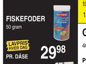 Fiskefoder