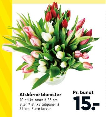 Bilka Afskårne blomster tilbud
