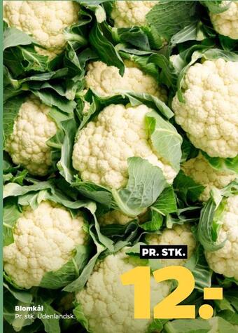 Netto Blomkål tilbud