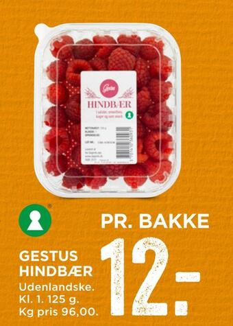 Gestus hindbær