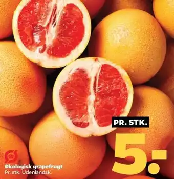 Netto Økolgisk grapefrugt tilbud