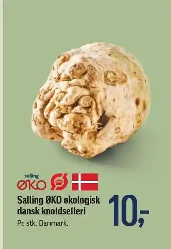 Føtex Salling øko økologisk dansk knoldselleri tilbud