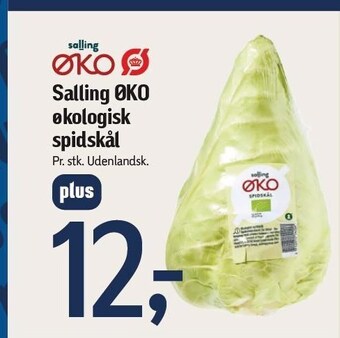 Føtex Salling øko økologisk spidskål tilbud